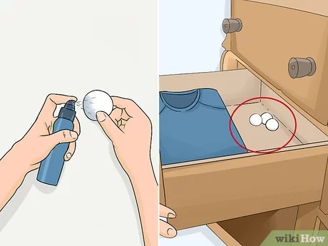 How to Keep Closet Smelling Fresh