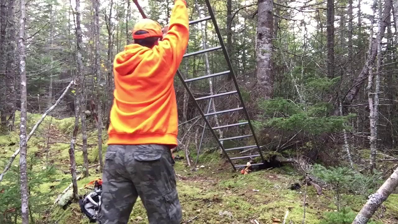 How to Put Up a Ladder Stand by Yourself