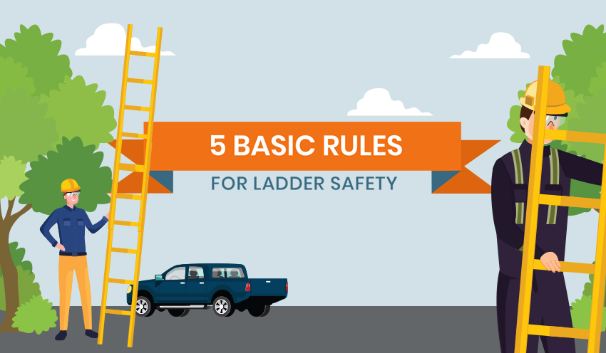 What is the Basic Rule for Ladder Use